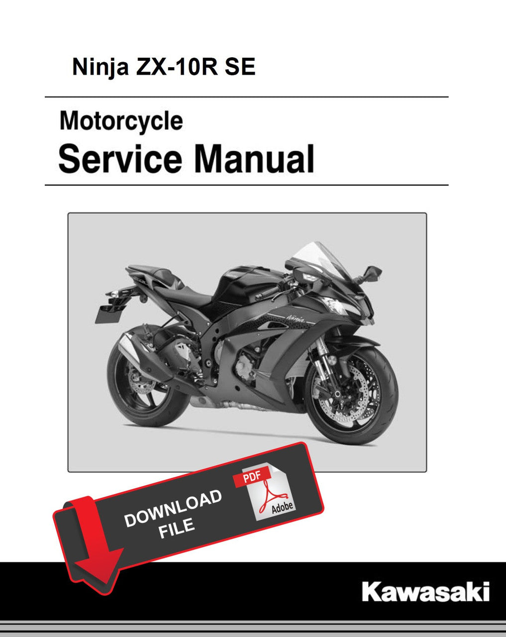 Kawasaki 2018 Ninja ZX-10R SE Repair Service Manual